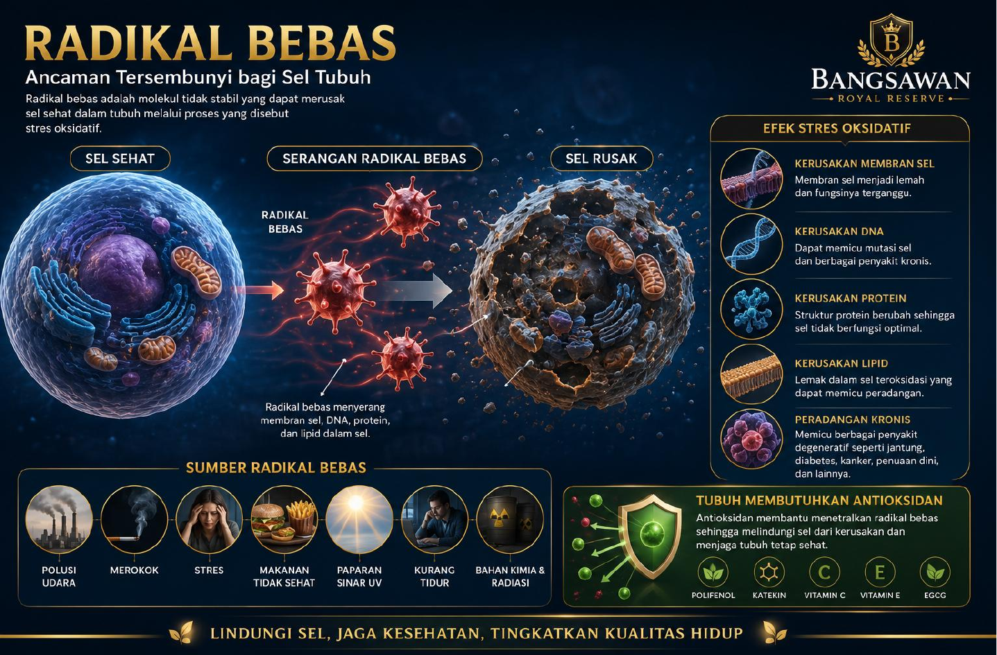 Radikal Bebas